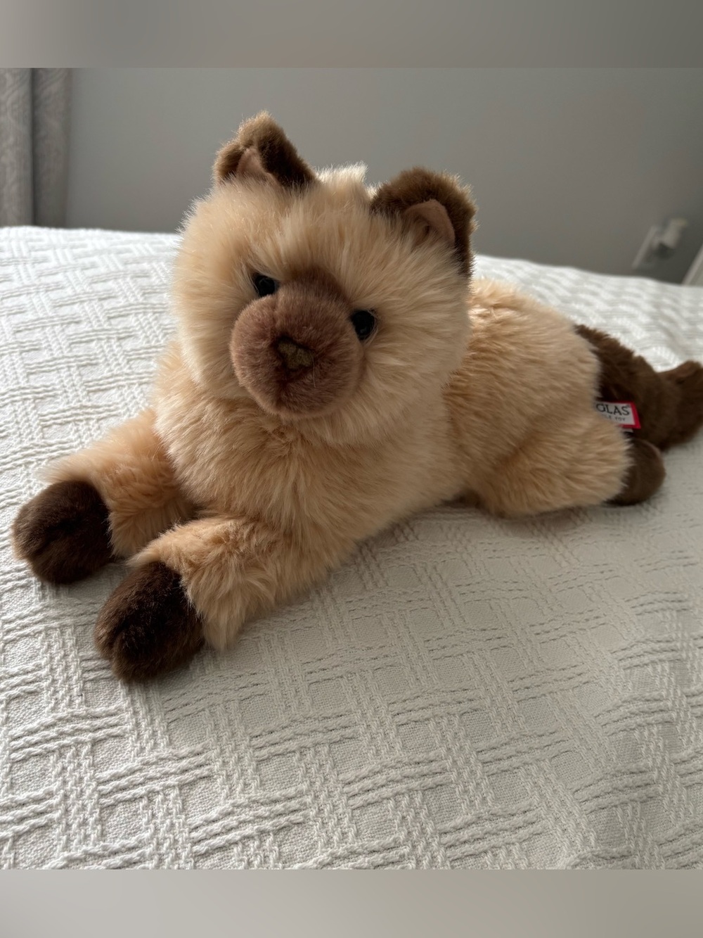 Douglas Oscar DLux Maine Coon Cat Plush Stuffed Animal 20"